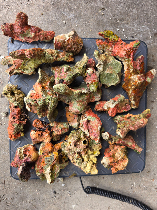 Australian Live Rock RUBBLE