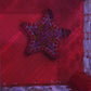 West African Biscuit Starfish