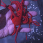 RED SERPANT STARFISH
