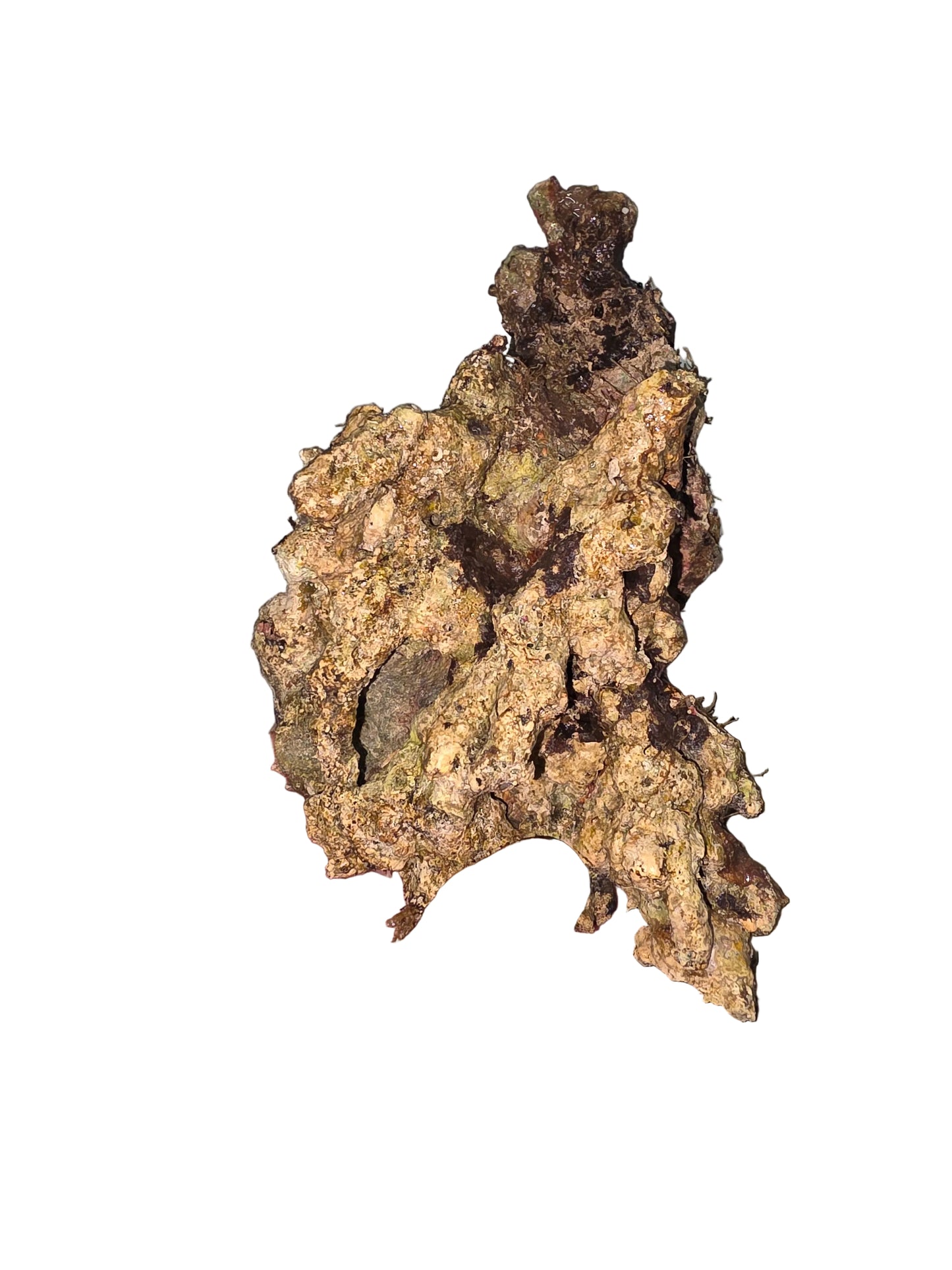Australian Live Rock WYSIWYG 44lbs