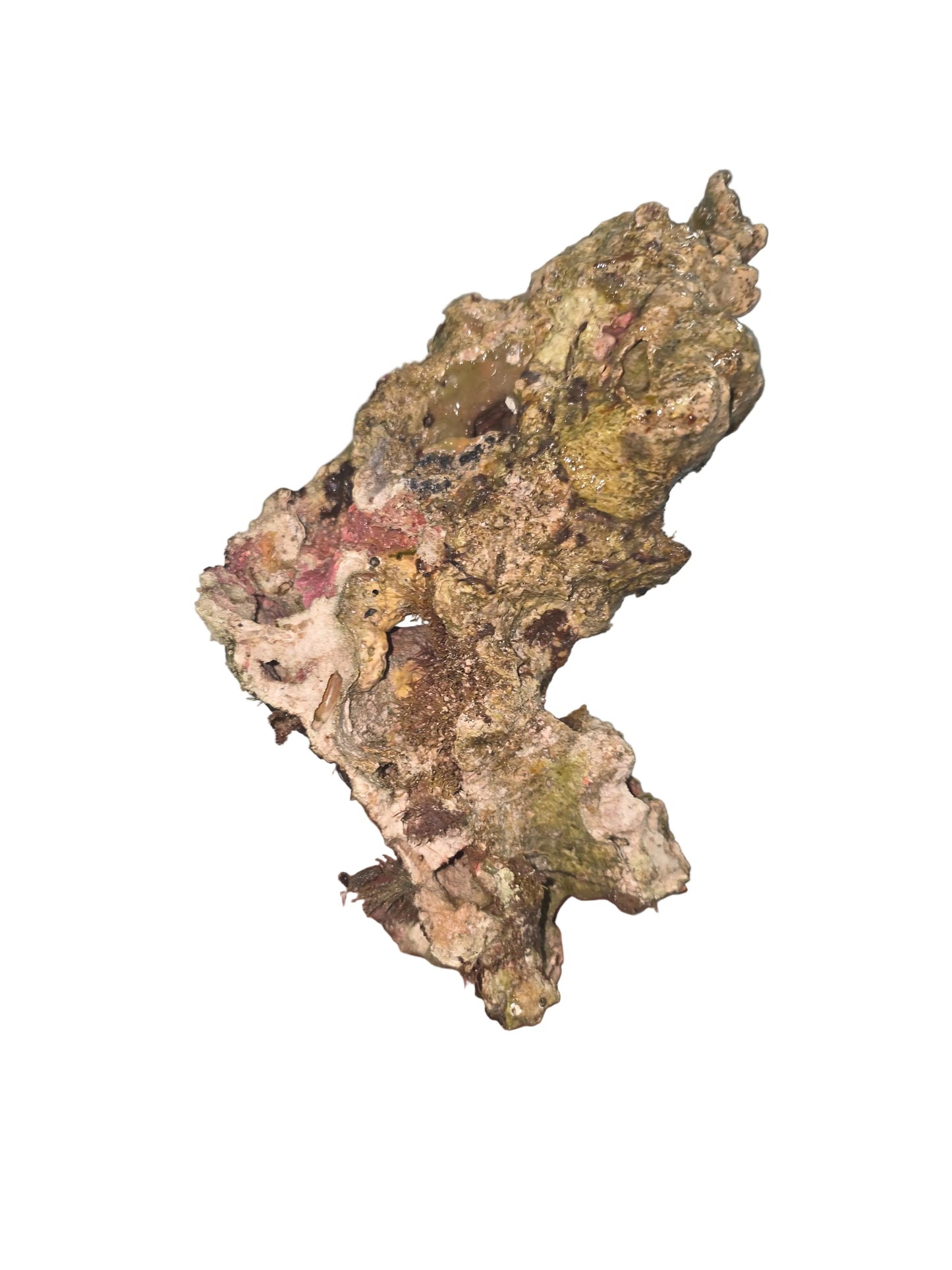 Australian Live Rock WYSIWYG 44lbs