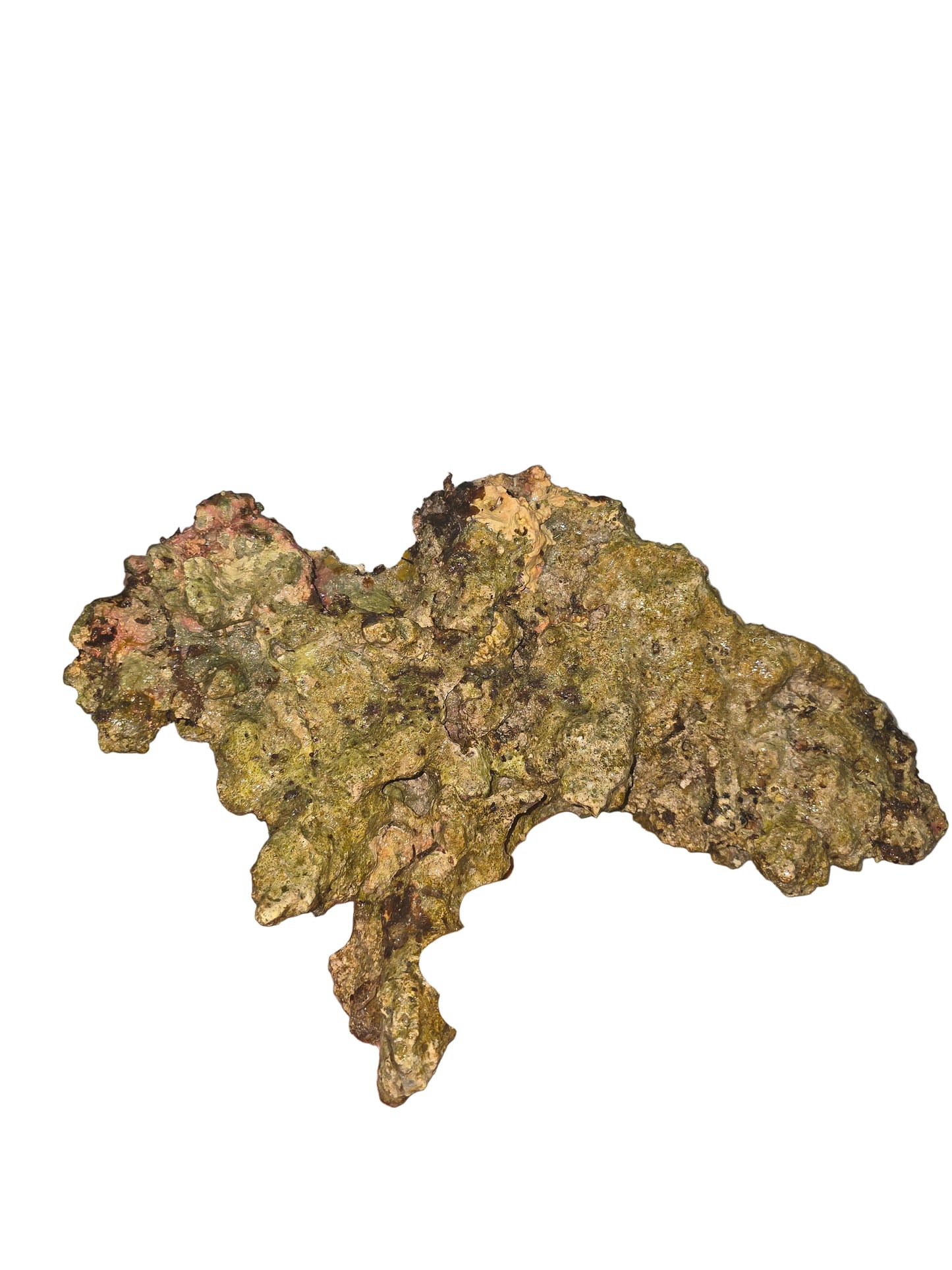Australian Live Rock WYSIWYG 44lbs