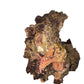 Australian Live Rock WYSIWYG 44lbs