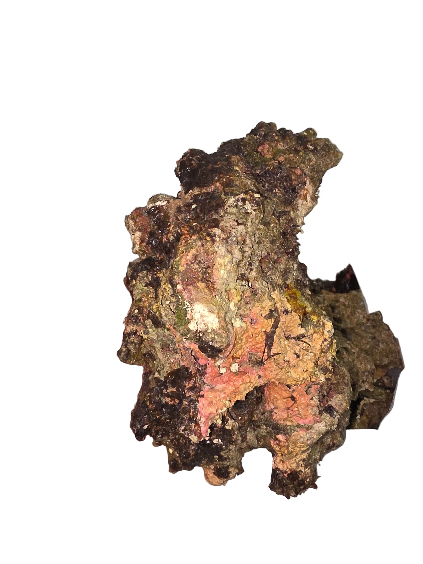 Australian Live Rock WYSIWYG 44lbs