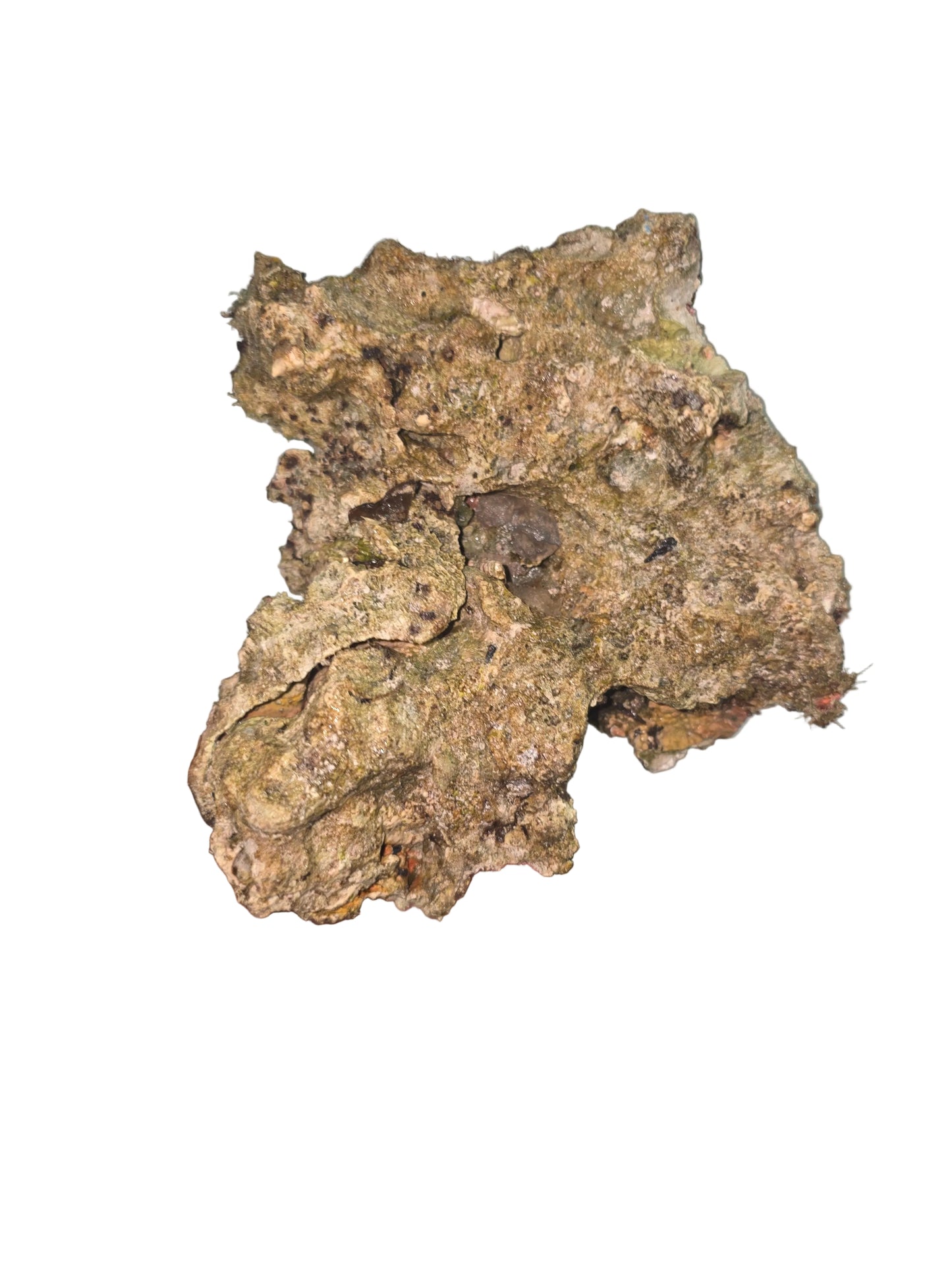 Australian Live Rock WYSIWYG 44lbs
