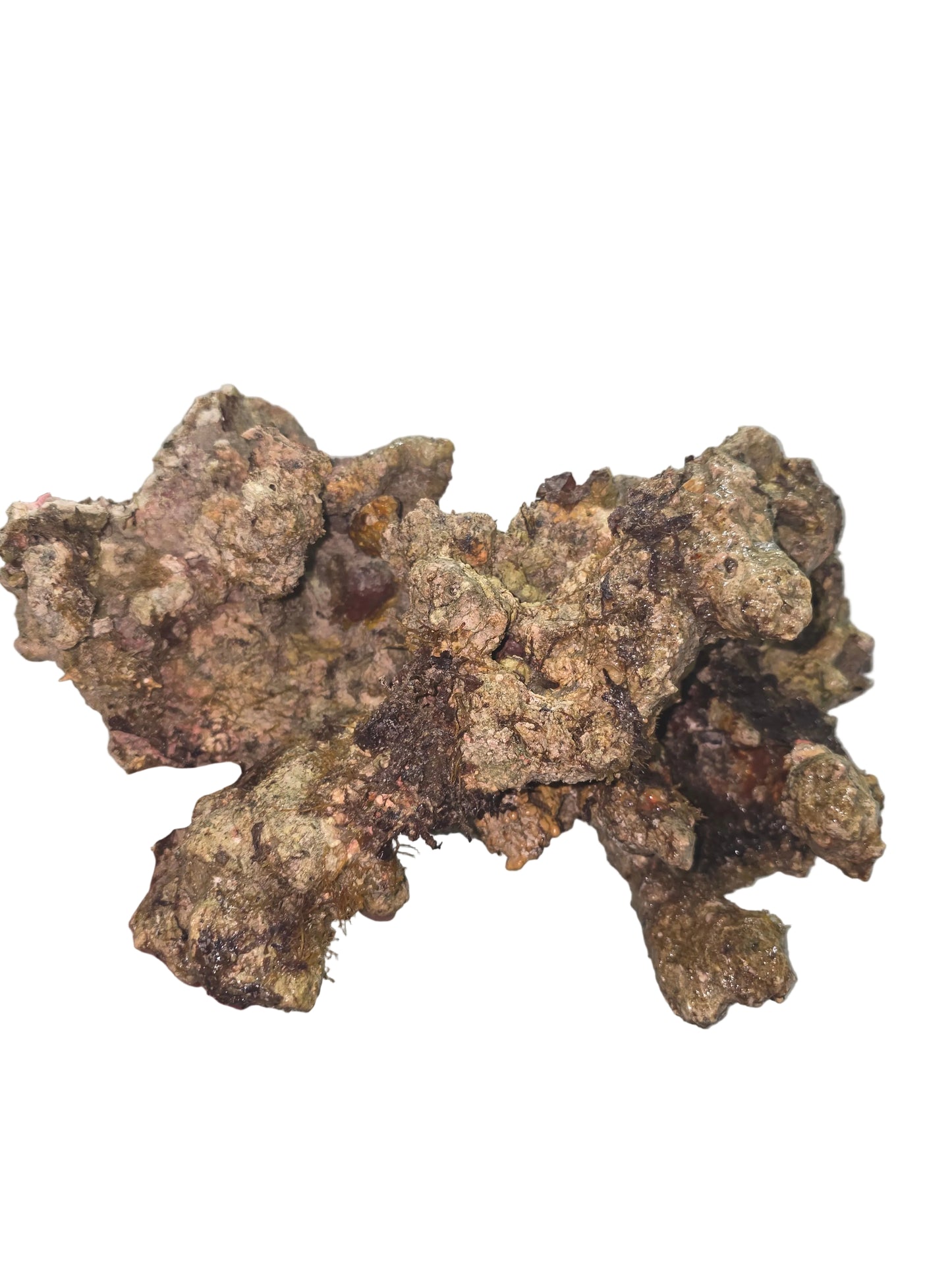 Australian Live Rock WYSIWYG 44lbs
