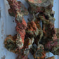 Australian Live Rock RUBBLE